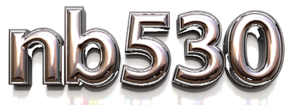 nb530 logo